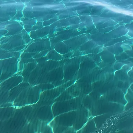 Alex Beach 31 Larnaca