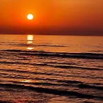 Alex 31 Larnaca