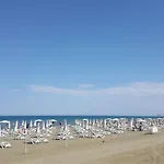 Alex 31