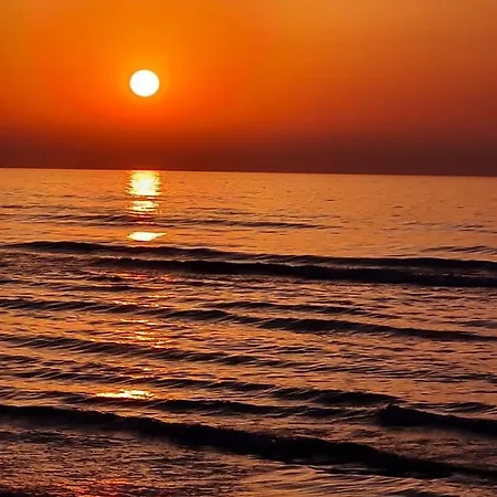 Alex 31 Larnaca