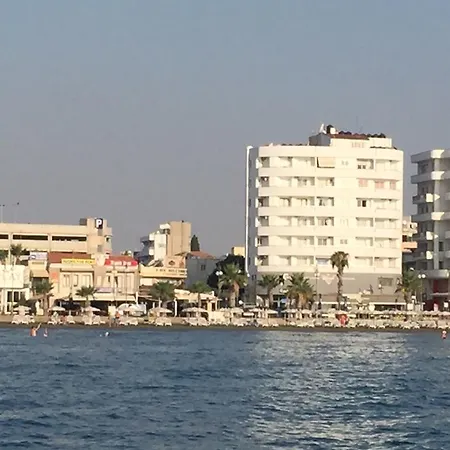 Alex 31 לרנקה