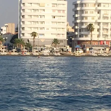 Alex 31