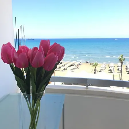 Apartamento Alex 31 *